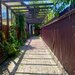 Duplex 4 camere | teren 301 mp | gradina 170 mp | Mogosoaia